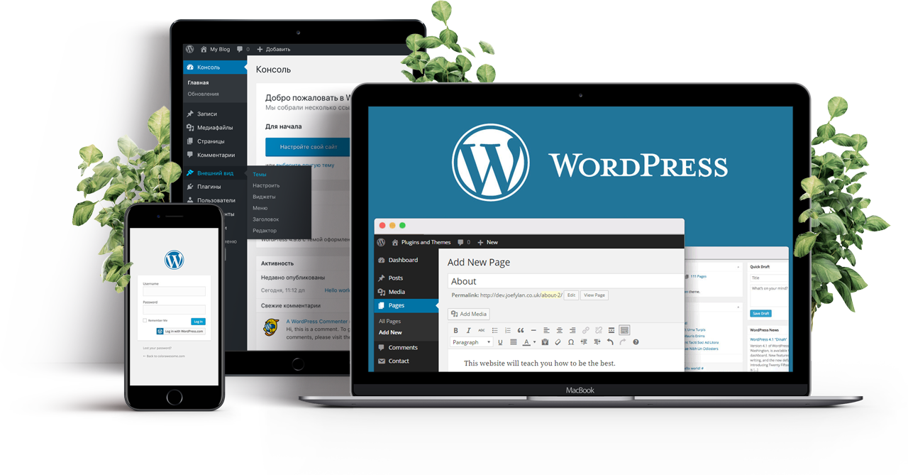 WordPress-Website
